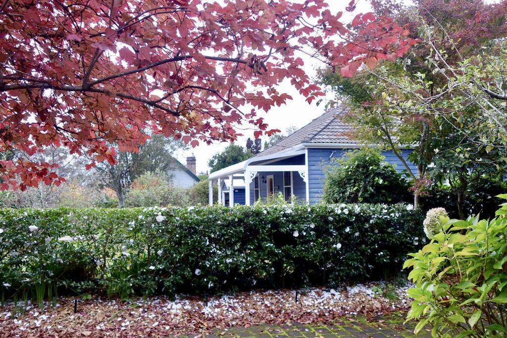 Poet'S Cottage - Fireplace, Close To Treks Wentworth Falls Exterior photo